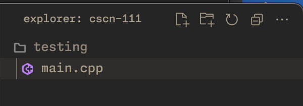 File explorer with a testing folder and a file inside it named main.cpp