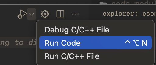 Run Code Button